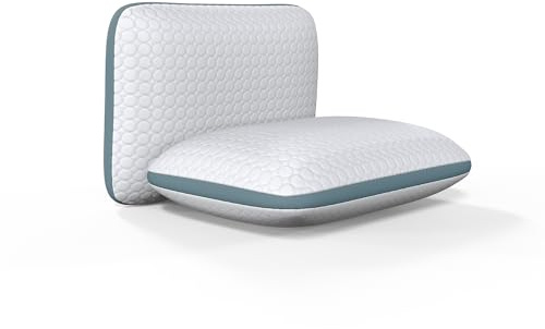 HOME STILL Quilted Bed Pillow 2-Pack - 50x70x10 cm - Blue Stripe, Hotel-Style Comfort - Soft Microfibre with Air Mesh Climatic Band - Breathable, Durable Zipper, Machine Wash & Dryer Safe