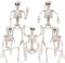 Halloween Decoracion Esqueleto Decoración Casa Adornos Exterior Chucherias Puerta Manualidades Hallowen Hogar Chucherías Humano Decorativas Interior Cosas Haloween Colgantes Fiesta Kit Jardin 5pcs