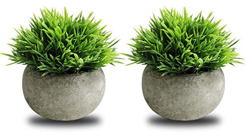 The Bloom Times Pianta finta 2 pezzi per arredamento bagno/ufficio in casa, piccola vegetazione artificiale finta per decorazioni per la casa (piante in vaso)