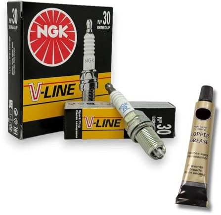 6x Zündkerzen V-Line passt für BMW 5er e39 520i 525i 530i Bj. 1998-2003 + Kupferfett