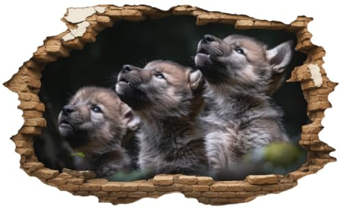 Samunshi® Wandtattoo Wandriss mit Wolf Welpen Fenster in andere Welt Portal Wanddekoration Wandsticker für Kinderzimmer Wohnzimmer Wanddeko Küche 30x18cm