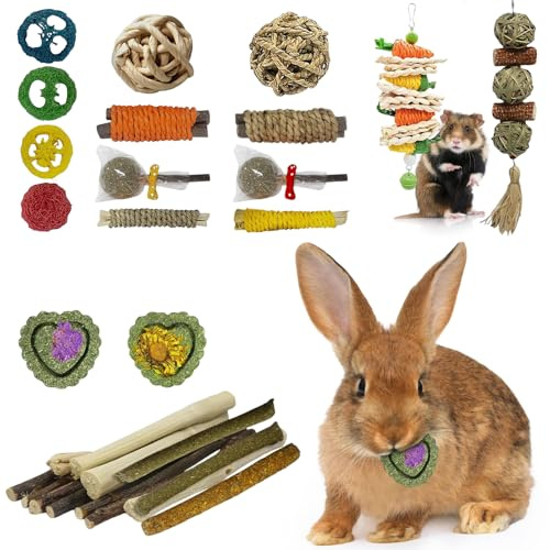 Vyranut 19 pcs Giocattoli da Masticare per Conigli,Giocattoli Coniglio Nano,Naturale Giocattolo per Piccoli Animali,per Porcellini d'India, Conigli, Criceti