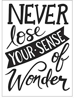 Darice 30041292 Prägeschablone, Prägefolder Never Lose Your Sense of Wonder, Papier, Transparent, A6