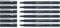 Schneider Pictus Fineliner (Strichstärke 0,4 mm, dokumentenechte Pigmentliner, metallgefasste Spitze, Gehäuse aus 85% recyceltem Kunststoff) 6er Pack, grün