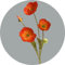 Künstliche Mohnblumen aus Seide für Heimdekoration, Blumenstrauß, Hochzeit, Party, Kunstblume, handgefertigt, echt, glatt, für Frühlingsblumen, Kunstblumen für Bastelarrangements, klein mit Stielen,