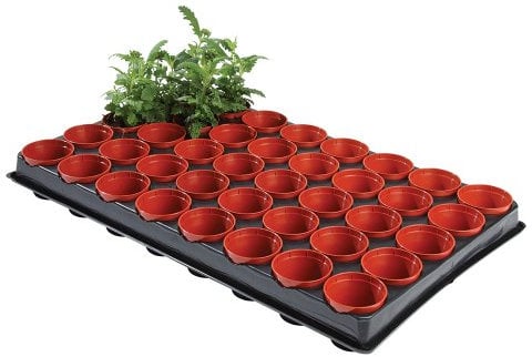 Professional Seed and Cutting Tray