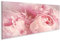 islandburner Bild auf Leinwand Nahaufnahme Pfingstrose Blumen Weich Bilder Wandbilder Poster