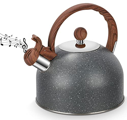 BEZORR Stainless Steel Whistling Kettle, 2.5L, Silver, Modern Retro Design, Hammered Surface, Dust Cover on Spout