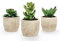 Mr.Bom Set of 3 Mini Artificial Succulents Plants Potted Decorative Fake Succulent Plant in Pots Artificial Plant Indoor for Bedroom Office Desk Kitchen Decor Gift Set