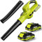 Soffiatore di foglie senza fili 21 V, con batteria da 4,0 Ah e caricabatterie, 3000 W, 2 modalità di velocità per la manutenzione del prato, soffiaggio della neve e rimozione della polvere (verde)