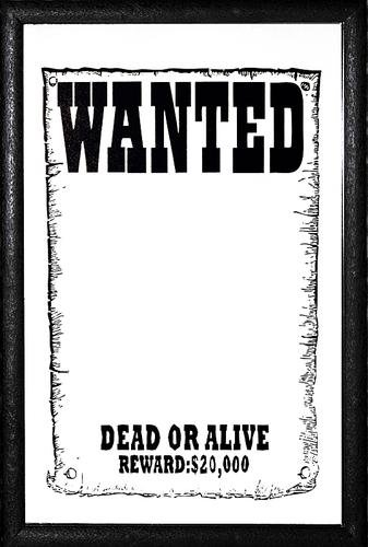 Wanted Spiegel Dead or Alive (20cm x 30cm)