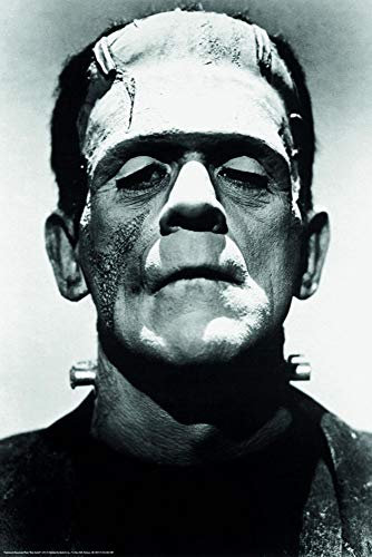 Close Up Frankenstein Poster Boris Karloff (61cm x 91,5cm)