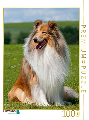 CALVENDO Puzzle EIN Motiv aus dem Kalender Collie 2017 | 1000 Teile Lege-Größe 48 x 64 cm Foto-Puzzle für glückliche Stunden