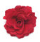 Meilliwish Camelie Fiore Clip di capelli pin spilla (Rosso) (A74)