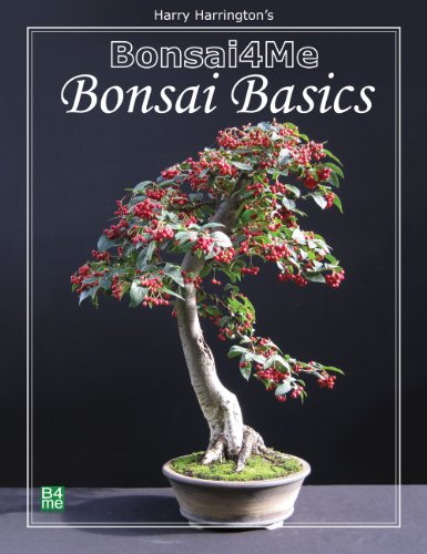 Bonsai4me: Bonsai Basics (English Edition)