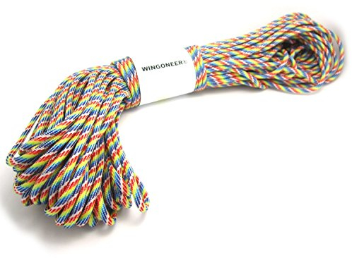 WINGONEER Fallschirmschnur Paracord, mit 7 Strängen, 550 lbs, 100 ft - Regenbogen
