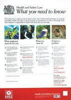 POSTER, HEALTH & SAFETY LAW, A3 9780717663699 By Best Price Square