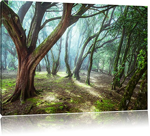 Pixxprint Wald, Größe: 100x70cm, Leinwandbild, fertig gespannt, Wandbild, Dekoration, Kunstdruck, kein Poster