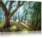 Pixxprint Wald, Größe: 100x70cm, Leinwandbild, fertig gespannt, Wandbild, Dekoration, Kunstdruck, kein Poster