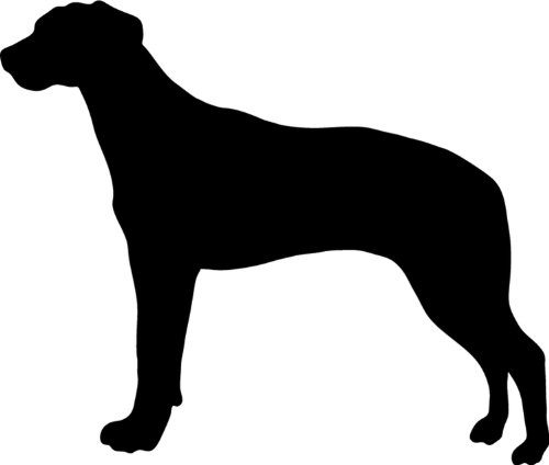 teddyfamily Rhodesian Ridgeback Hundeaufkleber – Silhouette | Autoaufkleber Hund; Größe, Farbe und Wunschtext wählbar; UV-beständig; 3 bis 8 Jahre; grundsätzlich waschanlagenfest
