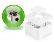 Dexlan Boîtier mural en saillie CAT5E 2 RJ45 blindé