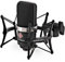 Neumann TLM102 Special Edition