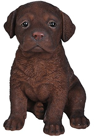 hi-line Geschenk LTD Labrador Puppy Statue, Schokolade Braun