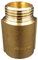 1/2 BSP (15mm) Pipe Thread Extension Female x Male Cast Iron Brass - 30mm Long