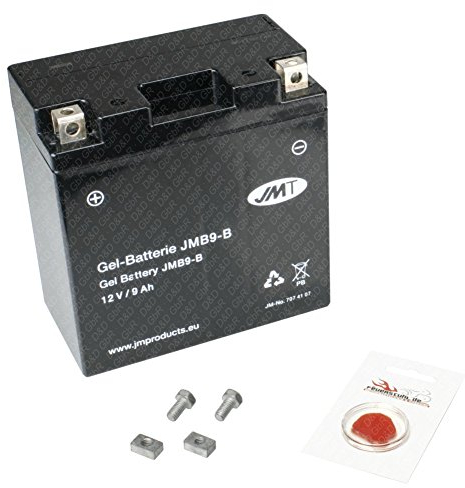 Gel-Batterie für Vespa Cosa 200 FL, 1991-1996 (Typ VSR1T), wartungsfrei, inkl. Pfand €7,50