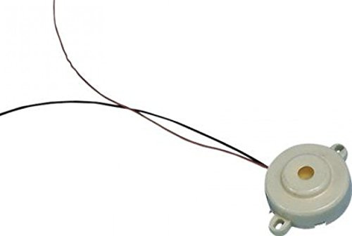 Electrovision