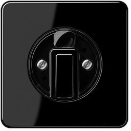 Jung CD500 Zentralplatte Schalter CD500 schwarz
