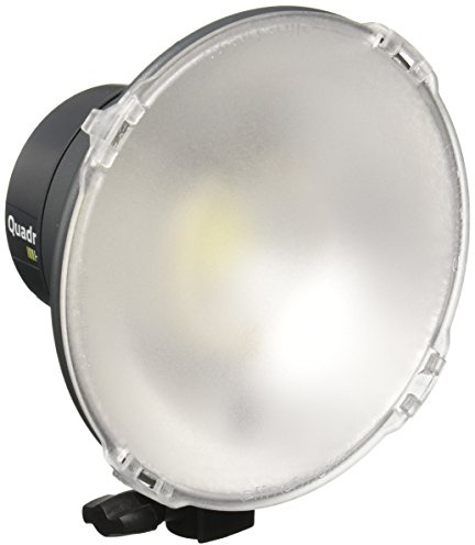 Elinchrom Quadra HS Head (EL20153)