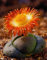 Tropica - Sukkulenten - Lebender Granit (Pleiopilos nelii) - 40 Samen