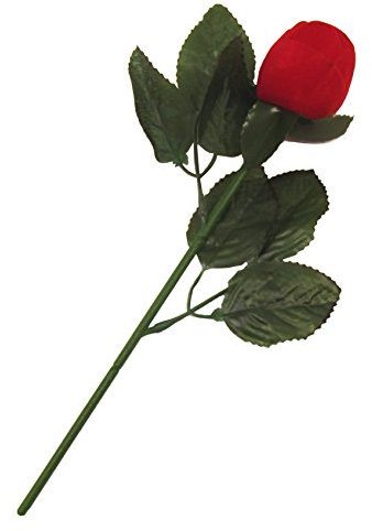 Rosa Rossa con Porta-Anello - Perfetto per la Vostra proposta di Matrimonio