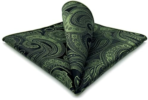 Shlax&Wing Mens Pocket Sqaure Hanky Dark Green Paisley Large 12.6 Silk