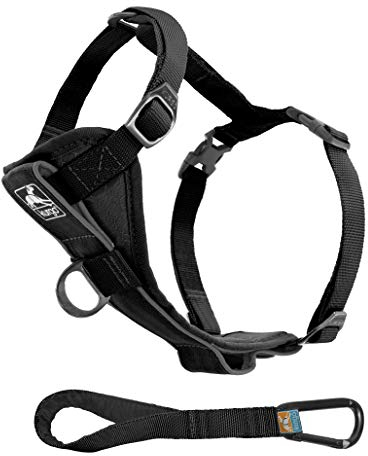 Kurgo Tru-Fit Smart Hundegeschirr, Mit gepolstertem Brustteil und D-Ring, Inklusive Autosicherheitsgurt, Größe XL, Schwarz