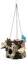 Spoontiques Birds/Tree Stump Birdhouse