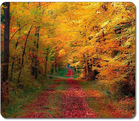 Customized 27705 Path Through The Autumn Woods Nature Art Large Mousepad Natural Eco Rubber Mousepad Design High Quality Durable Mouse Mat Computer Accessories Big Gaming Mouse Pad