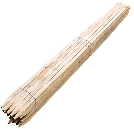 TerraGala Hartholzpfähle, Pflanzstäbe aus Eiche, Eichenholzpfähle angespitzt 2m, Ø Circa 25 x 25mm (10)