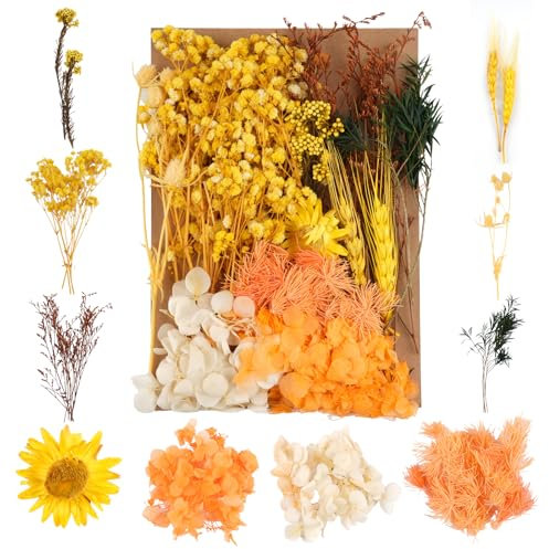 Trockenblumen,Natürliche Gemischte Getrocknete Blumen,Trockenblumen Zum Basteln,Trockenblumen Klein für DIY Epoxidharz Scrapbook Zubehör Handwerk Karten Machen (Gelb)