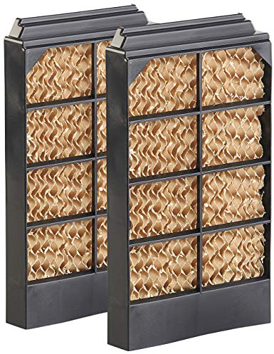 2 filtres de rechange pour rafraîchisseur dair LW-420.w [Sichler Haushaltsgeräte]