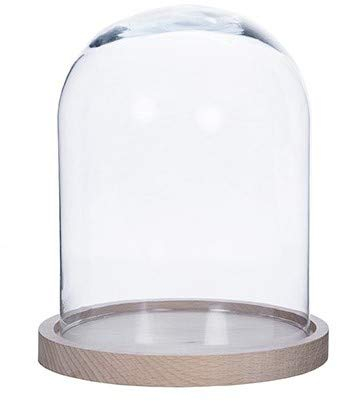 Campana de Cristal con Base Madera (31cm)