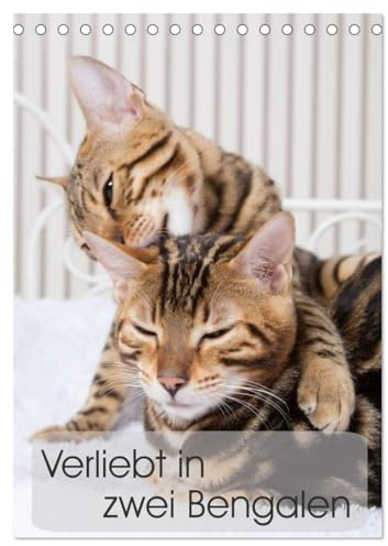 Verliebt in zwei Bengalen (Tischkalender 2026 DIN A5 hoch), CALVENDO Monatskalender: Fotografien zweier Bengalkatzenkinder (CALVENDO Tiere)