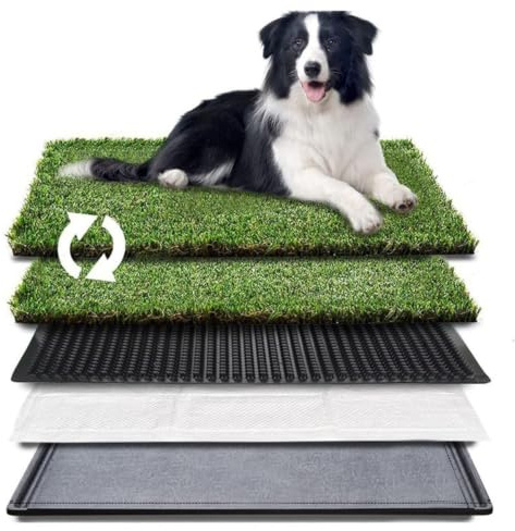 NEWFUN 63 * 51 cm Inodore per cani Cested interno Orinale Cane Cuscinetto di allenamento dell'Erba per animali domestici, Lettiera per Cani e Gatti per Addestramento