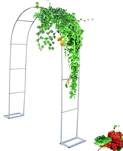 Rosenbogen aus Metall Stabil,Gartenbogen,Torbogen Rankhilfe für Kletterpflanzen,Pergola Metall Rankgitter für Hinterhof,Rasen,Terrasse,Laube,Hochzeiten,Party-Dekoration ( Color : Wit , Size : 240x220x