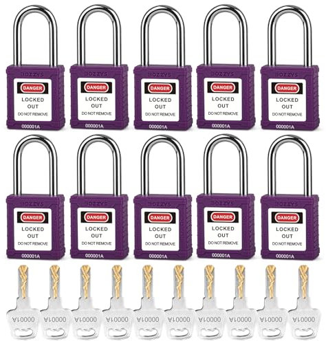 BOZZYS Verrous de verrouillage, cadenas Loto à clés identiques, anse en acier de 38 mm, corps en plastique (BD-G08KA-10PCS-violet, clés identiques-1 clé par serrure)