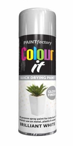 RAPIDE PF COLOUR IT Spray Paint Gloss Brilliant White 250ml - Quick Drying Gloss Finish for Metal, Plastic, and Wood - Interior & Exterior Use
