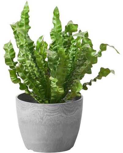 Ekirlin 20CM Planters-Indoor Plant Pot with Drain Hole and Drainage Mesh Grid Screen, Natural Cement Textures Modern Plastic Garden Pots for Home & Outdoor