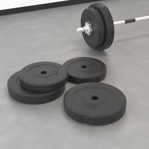 Genérico Placas de Pesas 4 uds Cemento 30 kg,Deportes,Fitness y musculación,Levantamiento de Pesas,Peso Libre,93597