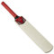 RAM Cricket Signature Cricket Bat